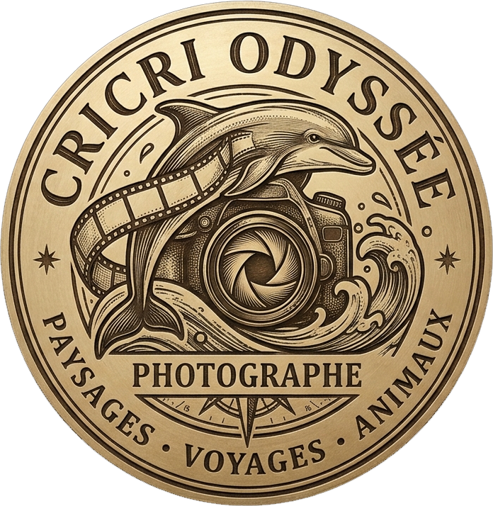 Cricri Odyssée Logo